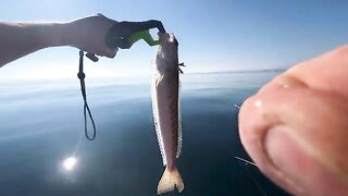 Морской дракон на ужин - рыбалка в Испании с каяка