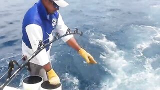 Тунец у Panama Big Game Fishing Club - рыбалка в Панаме