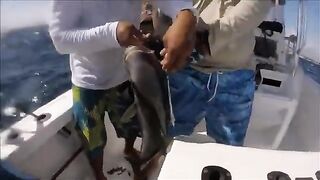 Amberjack на 300 ft у Playa del Carmen - рыбалка в Мексике