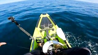 Снэпперы и джеки на малые приманки - рыбалка в Панаме с каяка