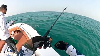 Кобия на 15 кг у борта - рыбалка в Рас-эль-Хайме