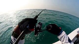 Кобия на 15 кг у борта - рыбалка в Рас-эль-Хайме