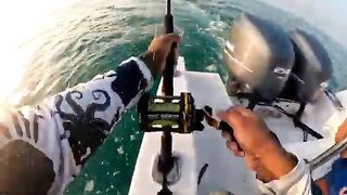 Кобия на 15 кг у борта - рыбалка в Рас-эль-Хайме