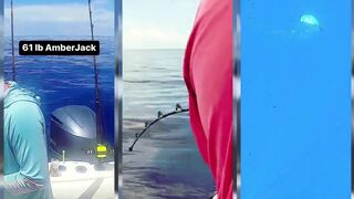 Amberjack на 61 фунт у Гранд-Багамы - рыбалка на Багамах