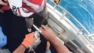 30 лет с одной командой - рыбалка в Австралии у Coral Bay