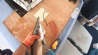 30 лет с одной командой - рыбалка в Австралии у Coral Bay