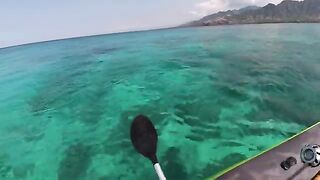 Штиль на тропическом рифе - морская рыбалка на Бали с каяка