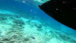 Штиль на тропическом рифе - морская рыбалка на Бали с каяка