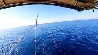 Сардина, бонито и завтрак на борту - рыбалка в Анталии