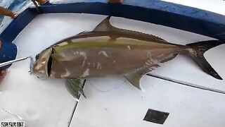 Первый джиговый день после перелетов - рыбалка на Мальдивах