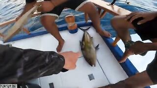 Первый джиговый день после перелетов - рыбалка на Мальдивах