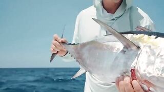 Amberjack, tuna и cook на борту - рыбалка во Флориде
