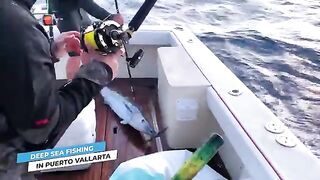 Deep sea, inshore и fly - рыбалка в Мексике у Пуэрто-Вальярты