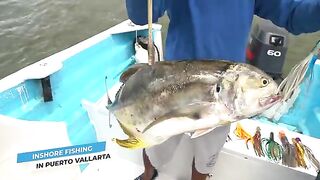 Deep sea, inshore и fly - рыбалка в Мексике у Пуэрто-Вальярты