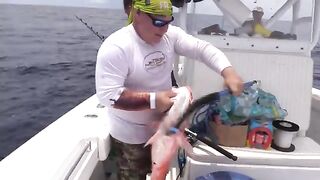 Offshore trip с Hungry Gator Outdoors - рыбалка в Флориде