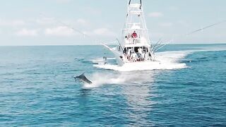 Monster bite на Азорах - рыбалка в Атлантическом океане за blue marlin