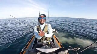 Tuna и shark frenzy с офшорного каяка - рыбалка во Флориде