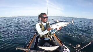 Tuna и shark frenzy с офшорного каяка - рыбалка во Флориде