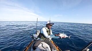 Tuna и shark frenzy с офшорного каяка - рыбалка во Флориде