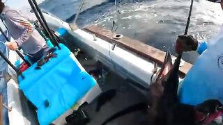 Шесть часов big game в Кении - рыбалка в Индийском океане