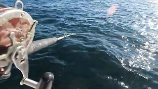 Первый выход Eastman's в 2026-м - рыбалка в США