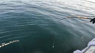 Первый выход Eastman's в 2026-м - рыбалка в США