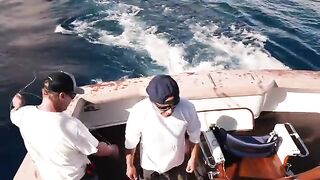 Шторм и blue marlin mayhem на Азорах - рыбалка в Атлантическом океане