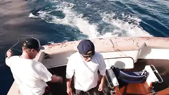 Faial, 800-pounder и blown turbo - рыбалка в Атлантическом океане