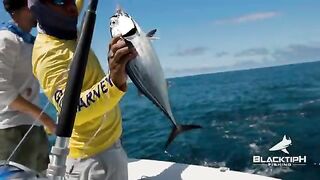 Плавучее дерево и mahi под 50 фунтов - рыбалка в Панаме