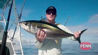 Плавучее дерево и mahi под 50 фунтов - рыбалка в Панаме