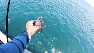 Когда свои снасти ловят лучше борта - рыбалка в Флориде на чартере