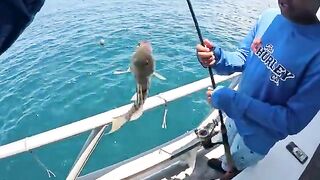 Когда свои снасти ловят лучше борта - рыбалка в Флориде на чартере