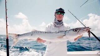 125 тысяч на кону и охота за blue marlin - рыбалка в Карибском море