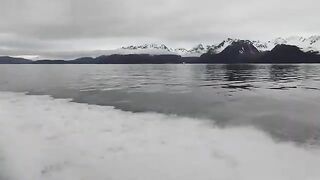 Лицензия, одежда и рыба домой - рыбалка на Аляске на чартере