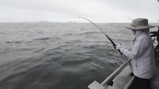 Лицензия, одежда и рыба домой - рыбалка на Аляске на чартере