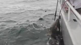 Лицензия, одежда и рыба домой - рыбалка на Аляске на чартере