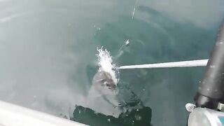 Лицензия, одежда и рыба домой - рыбалка на Аляске на чартере