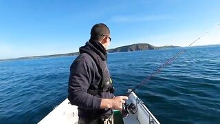 Тяжелый pollack с малой лодки - рыбалка в Англии у Cornwall