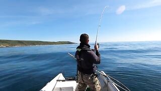 Тяжелый pollack с малой лодки - рыбалка в Англии у Cornwall
