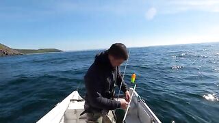 Тяжелый pollack с малой лодки - рыбалка в Англии у Cornwall