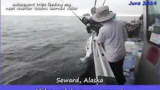 Первый чартер у Флорида-Кис и главные уроки - рыбалка в Флориде