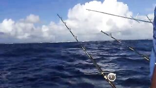 После качки все же подняли махи-махи - рыбалка в Доминикане