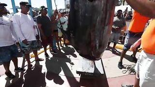 Когда весь Кабо смотрит на весы - рыбалка в Мексике на марлина