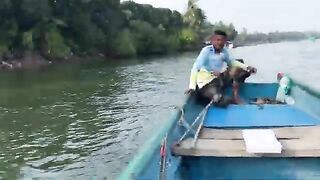 Маршрут из Гоа в Малван и живая наживка - рыбалка на Гоа