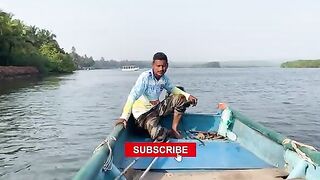 Маршрут из Гоа в Малван и живая наживка - рыбалка на Гоа