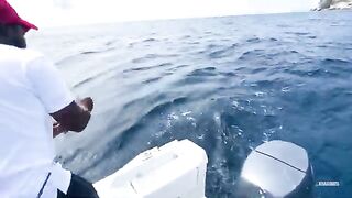 Силуэт, первый троллинг и редкий парусник - рыбалка на Сейшелах