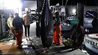 Топливо, отмены и чартер в минус - рыбалка в США