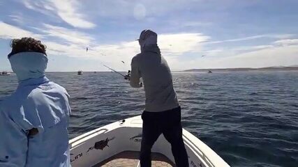 La Paz, Baja Rancheros и 8 часов на воде - рыбалка в Мексике