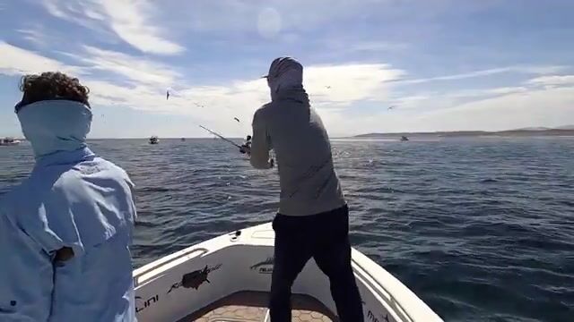 La Paz, Baja Rancheros и 8 часов на воде - рыбалка в Мексике