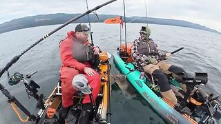 Bucket list halibut с каяка - рыбалка в Тихом океане